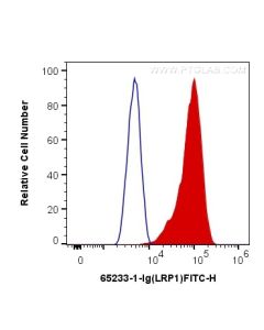 Anti-Human LRP1 (5A6) Proteintech  65233-1-Ig