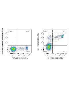FcZero-rAb? APC Anti-Human CD68 (KP1) Rabbit IgG Recombinant Antibody Proteintech  APC-FcA65593