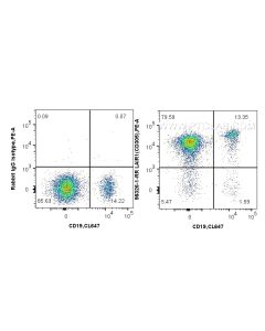 Anti-Human LAIR1 Rabbit Recombinant Antibody Proteintech  98326-1-RR