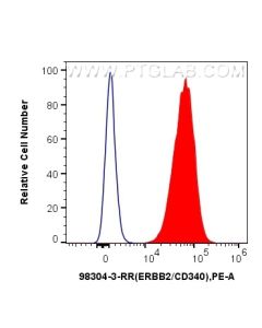 Anti-Human HER2/ErbB2 Rabbit Recombinant Antibody Proteintech  98304-3-RR
