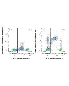 FcZero-rAb? Biotin Anti-Human CD39/ENTPD1 Rabbit Recombinant Antibody Proteintech  Biotin-FcA98102