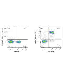 Anti-Mouse CD27 Rabbit Recombinant Antibody Proteintech  98160-1-RR