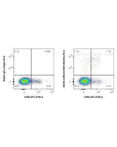 Anti-Human KIR2DS4/CD158i Rabbit Recombinant Antibody Proteintech  98339-3-RR