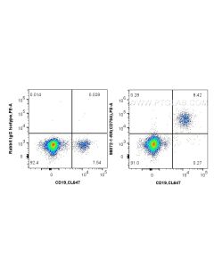 Anti-Human CD79a Rabbit Recombinant Antibody Proteintech  98072-1-RR