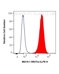Anti-Mouse Tie-2/CD202b Rabbit Recombinant Antibody Proteintech  98219-1-RR