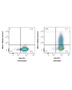 Anti-Mouse GM-CSF Rabbit Recombinant Antibody Proteintech  98014-1-RR