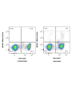 Anti-Human IL-13 Rabbit Recombinant Antibody Proteintech  98159-1-RR