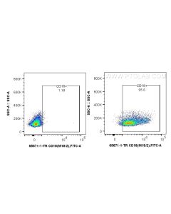 Anti-Mouse CD18 (M18/2) Rat IgG2a Recombinant Antibody Proteintech  65671-1-TR
