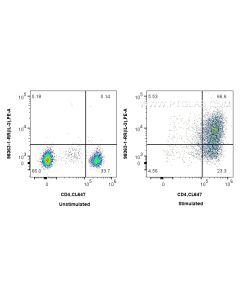 Anti-Human IL-3 Rabbit Recombinant Antibody Proteintech  98363-1-RR