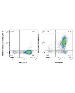 Anti-Mouse CXCR4/CD184 Rabbit Recombinant Antibody Proteintech  98233-1-RR