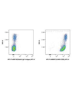 FcZero-rAb? APC Anti-Human ICAM3/CD50 Rabbit Recombinant Antibody Proteintech  APC-FcA98097