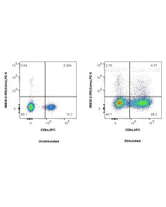 Anti-Mouse Gzma Rabbit Recombinant Antibody Proteintech  98630-2-RR