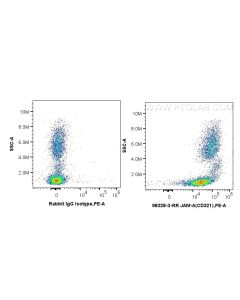 Anti-Human JAM-A/CD321 Rabbit Recombinant Antibody Proteintech  98328-3-RR