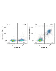 Anti-Mouse CD22 Rabbit Recombinant Antibody Proteintech  98485-2-RR