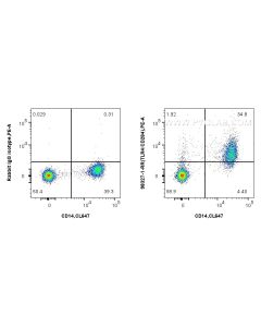 Anti-Human TLR4/CD284 Rabbit Recombinant Antibody Proteintech  98327-1-RR
