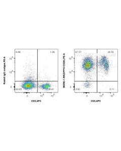 Anti-Mouse DPP4/CD26 Rabbit Recombinant Antibody Proteintech  98356-1-RR
