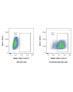 Anti-Human IL-7 Rabbit Recombinant Antibody Proteintech  98206-1-RR