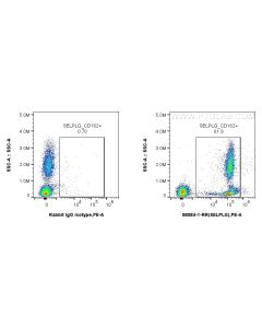 Anti-Human SELPLG/CD162 Rabbit Recombinant Antibody Proteintech  98084-1-RR