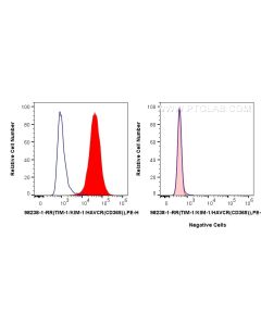 Anti-Human KIM-1/HAVCR1 Rabbit Recombinant Antibody Proteintech  98238-1-RR