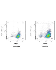 Anti-Mouse IL-5 Rabbit Recombinant Antibody Proteintech  98352-1-RR