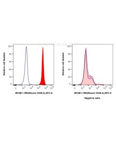 Anti-Mouse CD45.2 Rabbit Recombinant Antibody Proteintech  98168-1-RR