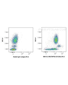 Anti-Human TNFR2/CD120b Rabbit Recombinant Antibody Proteintech  98010-2-RR