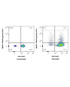 Anti-Mouse IFN-gamma Rabbit Recombinant Antibody Proteintech  98045-1-RR