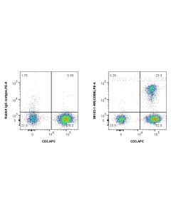 Anti-Human CD8b Rabbit Recombinant Antibody Proteintech  98103-1-RR
