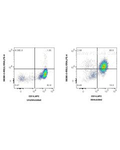 Anti-Human IL-15RA Rabbit Recombinant Antibody Proteintech  98380-3-RR