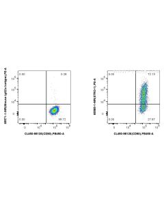 Anti-Human STRO-1 (STRO-1) Mouse IgG2a Recombinant Antibody Proteintech  65585-1-MR