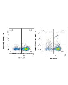 Anti-Human TCR Vγ9Vδ2 Rabbit Recombinant Antibody Proteintech  98526-1-RR