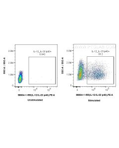 Anti-Mouse IL-12/IL-23 p40 Rabbit Recombinant Antibody Proteintech  98004-1-RR