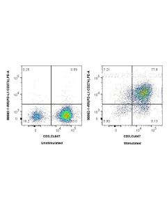 Anti-Human PD-L1/CD274 Rabbit Recombinant Antibody Proteintech  98062-1-RR