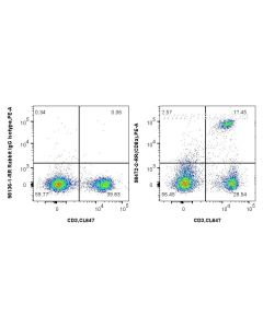 Anti-Mouse CD8a Rabbit Recombinant Antibody Proteintech  98472-2-RR
