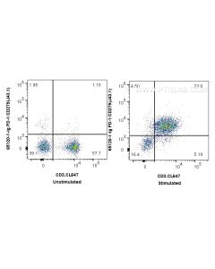 Anti-Mouse PD-1/CD279 (J43.1) Proteintech  65120-1-Ig