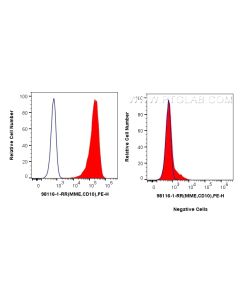 Anti-Human Neprilysin/CD10 Rabbit Recombinant Antibody Proteintech  98116-1-RR