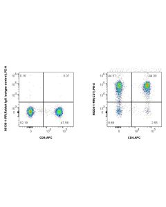Anti-Human CD7 Rabbit Recombinant Antibody Proteintech  98204-1-RR