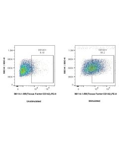Anti-Mouse Tissue Factor/CD142 Rabbit Recombinant Antibody Proteintech  98114-1-RR