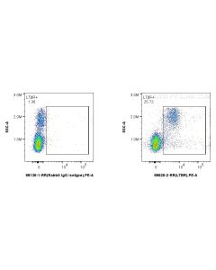 Anti-Human LTBR Rabbit Recombinant Antibody Proteintech  98626-2-RR