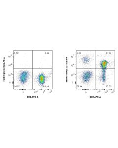 Anti-Human BTLA/CD272 Rabbit Recombinant Antibody Proteintech  98096-1-RR
