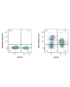 Anti-Human CD97 Rabbit Recombinant Antibody Proteintech  98094-2-RR
