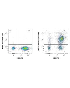 Anti-Human DPP4/CD26 Rabbit Recombinant Antibody Proteintech  98261-1-RR