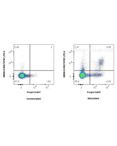 Anti-Human TGF beta 1 Rabbit Recombinant Antibody Proteintech  98506-5-RR