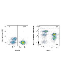 Anti-Human Integrin alpha-5/CD49e Rabbit Recombinant Antibody Proteintech  98171-1-RR
