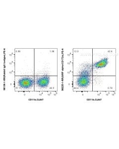 Anti-Mouse SIRP Alpha/CD172a Rabbit Recombinant Antibody Proteintech  98225-1-RR