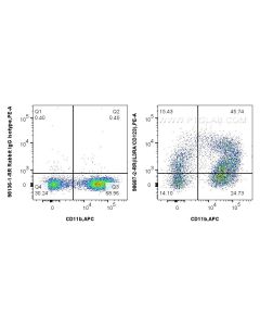 Anti-Mouse IL3RA/CD123 Rabbit Recombinant Antibody Proteintech  98687-2-RR