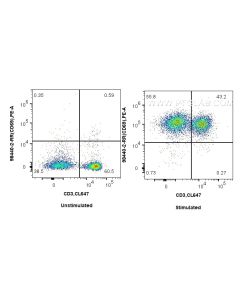 Anti-Mouse CD69 Rabbit Recombinant Antibody Proteintech  98440-2-RR