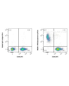 Anti-Mouse Glycophorin A/CD235a Rabbit Recombinant Antibody Proteintech  98269-1-RR