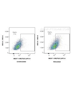 Anti-Human TSLP Rabbit Recombinant Antibody Proteintech  98247-1-RR