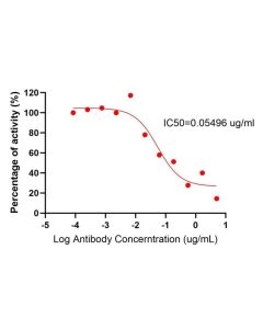 Anti-Mouse PD-1/CD279 (RMP1-14) Mouse IgG2a Recombinant Antibody Proteintech  65684-2-MR